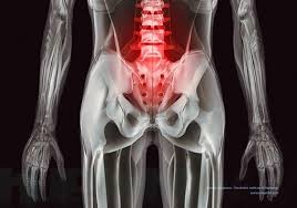 14 Fascinating X Rays That Will Change The Way You Look At The Human Body X Ray Xray Art Shadow Photography