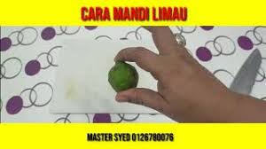 Daun limau purut tidak ubah seperti limau biasa.selain baunya yang menyegarkan, daun limau purut juga kaya dengan pelbagai khasiat. Cara Mandi Limau Buang Penyakit Dan Sihir Youtube