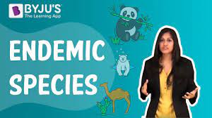 The definition differs from indigenous, or native, species in that the latter, although it occurs naturally in an area, is also found in other areas. Endemic Species Youtube