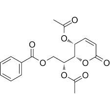 Image result for Cleistochlamys