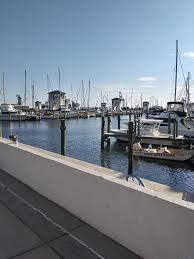 Image result for Red Marina 1994 UMM