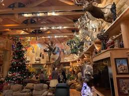 I display tags, hunting licenses, photos and memorable knick knacks with my mounts. Best Trophy Room I Have Ever Seen Hunt Talk