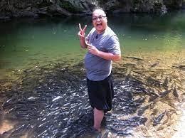 This natural fish spa is located just next to sabah tea garden. Most Of The Fish Surrounded Hubs Picture Of Sungai Moroli Fish Massage Ranau Tripadvisor