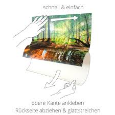 Laminierte wandbilder sind widerstandsfähiger gegen kratzer und beschädigungen. Artland Wandbild Fensterblick Garten Mit Ganseblumchen Blumen 1 St In Vielen Grossen Produktarten Alubild Outdoorbild Fur Den Aussenbereich Leinwandbild Poster Wandaufkleber Wandtattoo Auch Fur Badezimmer Geeignet Kaufen Baur