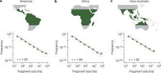 The ethiopian or afrotropical rainforest, the australasian or australian rainforest. Global Patterns Of Tropical Forest Fragmentation Nature