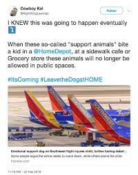 Each customer traveling with a law enforcement or search and rescue dog must present a letter of mission and a copy of the animal's certification. Southwest Airlines Child Passenger Blamed After Emotional Support Dog Bites