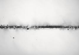 NEWS : NADINE FECHT