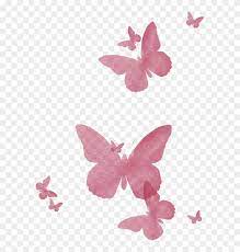 Pngtree provides you with 150 free transparent pink butterfly png, vector, clipart images and psd files. Pink Butterflies Butterfly Transparent Pink Png Png Download 590x800 1351489 Pngfind