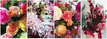 Use the category list on the right column to find businesses of other types listed in portland. The 8 Best Options For Flower Delivery In Portland Maine 2021