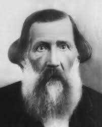 Henry Martin Harmon Sr. (1832-1895)