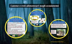 Gli animali della savana vero o falso. Catene E Reti Alimentari Negli Ecosistemi By Flavia Marrix