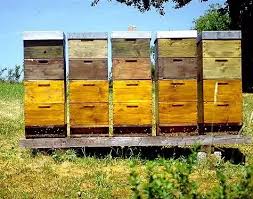 In this video i show you how to build a fully automatic minecraft bee farm. What Happens To A Bee Hive If The Honey Is Not Collected Quora