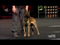 Yetenek Sizsiniz 2 Tur Performansi Murat Ali Tuna Ve Mali In 2020 Mali Tuna Pets
