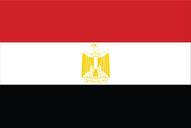 Egyptian Flag Art Print By Awesomeart X Small In 2020 Egypt Flag Egyptian Flag Flags Of The World