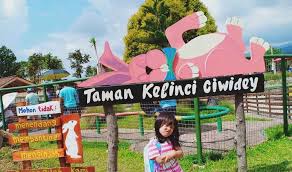 Maybe you would like to learn more about one of these? Otak Promil Kelinci