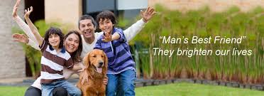 You always considered your pet to be a part of the family, and it's becoming easier to find places that allow you to get a photo of your pet with santa. Ottawa Pet Funerals Cremations Burials Cemetery Euthanasia Paws At Rest