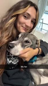 Happy gotcha day Arya!! Formally Sarah, One year ago we brought home our  terrified and emaciated girl. In that year she’s been…. Alot. But for every  cushion chewed up she makes up for it by being so ...