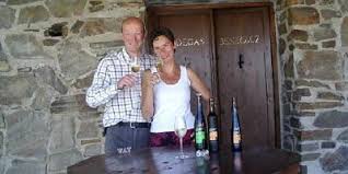 Ariyanas David Tinto Dulce 2022 (0.37 L) · Buy it for £20.35 at Vinissimus