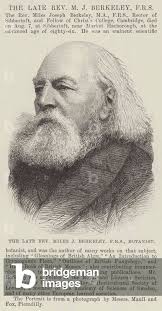Image of The late Reverend Miles J Berkeley, FRS, Botanist (engraving) by  English School, (19th century)