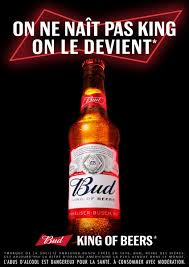 Your friend, 'hey buddy' ~3. Bud Bud King Portrait