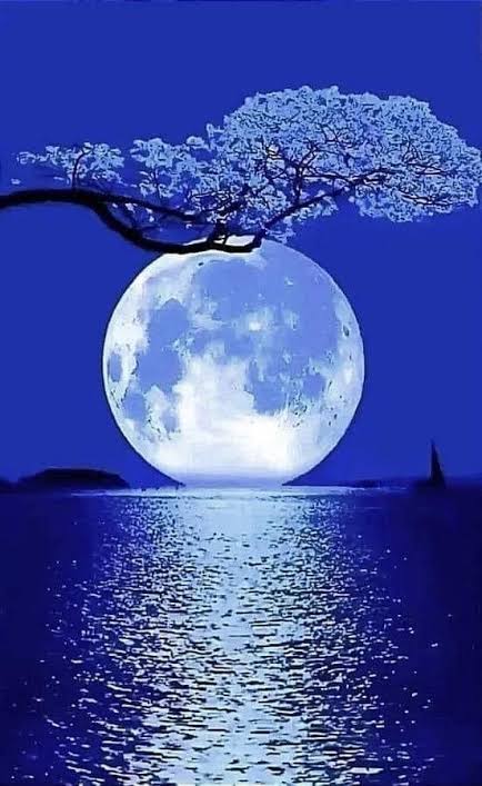 Beautiful Moon Shining Brightly Over Water and Trees | Blue moon night  scenery, Full moon over ocean at night, Peaceful ocean moonlight view