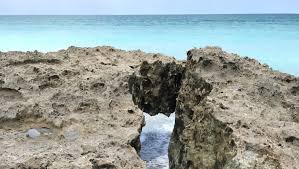 We did not find results for: Explore Nooks And Crannies Of Blowing Rocks Preserve Laurie S Stories