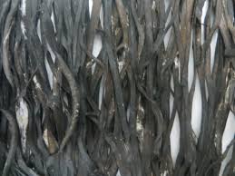 Una nori di buona qualità sarà poco friabile e lucente e vista in controluce apparirà di una verde trasparenza e di grana uniforme. Alga Biologiche Spaghetti Di Mare Midzu 1 Kg