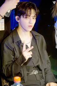 seventeen 1st world tour diamond edge north american and south american performance behind seventeen エスクプス えすくぷす ぷす