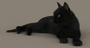 Available in many file formats including max, obj, fbx, 3ds, stl, c4d, blend, ma, mb. Buy Cat Black Fur Rigged 3d Models Online Massimo Righi