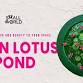 Resin Lotus Pond event image