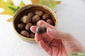 A few might crack, but i think they'd. How To Dry Acorns For Crafts 8 Steps With Pictures Wikihow