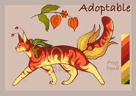 Image result for Octolepis