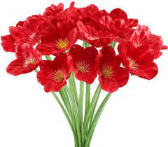 Cela fait maintenant 8 ans que vous êtes mariés. Huaesin 20pcs Coquelicot Artificiels Fleur Rouge Bouquet Fausse Coquelicots Noel Decoration Pour Maison Mariage Table Magasin Amazon Fr Cuisine Maison
