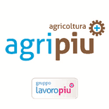 La bouvard italia spa, industria alimentare facente capo a gruppo multinazionale, operante nel settore della produzione di merendine a base pan di spagna, cerca un/a tecnologo/a al…. Lavoro Tecnologo Alimentare Offerte E Annunci Infojobs