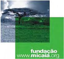 Image result for Olinia chimanimani