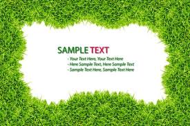 Follow the vibe and change your wallpaper every day! Green Orange Background Free Stock Photos Download 14 891 Free Stock Photos For Commercial Use Format Hd High Resolution Jpg Images