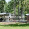 Boardwalks and hiking trails meander through the springs, allowing you to search the area for elusive critters like gators, snakes, and turtles. 1