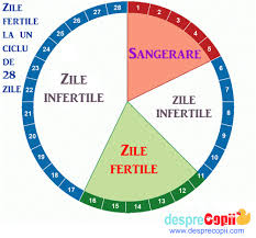 De asemenea, adolescenții lună poate fi frecvente, deoarece ciclul nu este încă stabilizată și sunt anovulatorii lunar poate sări si sa fie extrem de neregulate. Perioada Fertila Zile Fertile Si Sansa De A Concepe Un Copil Desprecopii Com