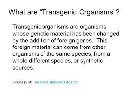 We did not find results for: Transgenic Organisms Ppt Video Online Download