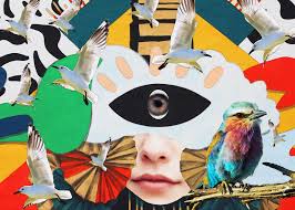 Im Like Eye Bird Poster Print By Aurora Art Work Displate Aurora Art Aurora Artwork Poster Prints