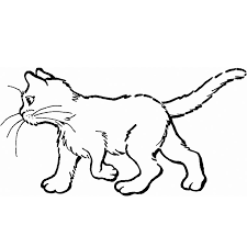 Voir plus d'idées sur le thème dessin chat, dessin, chat. 131 Dessins De Coloriage Chat A Imprimer