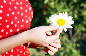 Drawing Image Daisy In His Hand Stock Photo, Picture and Royalty Free  Image. Image 33714708.