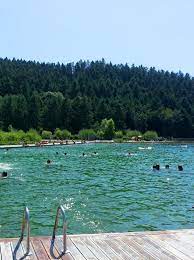 piscine biologique au lac des sapins happycurio lac piscine biologique sejour en france