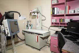 Hours may change under current circumstances All Pets Clinic 1139 E Silver Springs Blvd Ocala Fl Veterinarians Mapquest
