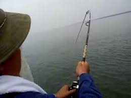 Memancing ikan besar di laut dalam. Pancing Laut Dalam Kong Kong 20kg Youtube