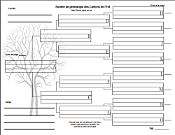 Recevez des renseignements à jour concernant les articles en vedette dans la circulaire hebdomadaire, les articles en chute de prix et en liquidation, les articles exclusifs et les offres spéciales de walmart. Modele Arbre Genealogique Vierge Gratuit A Imprimer