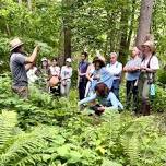 Northeastern Ethnobotany