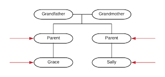 Examining Outliers In Shared Cm Amounts The Genetic