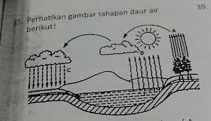 Evaporasi adalah proses berubahnya air menjadi uap air karena terkena sinar matahari. Peristiwa Yang Ditunjukkan Oleh Huruf A Adalah A Evaporasi B Presipitasi C Transpirasid Brainly Co Id