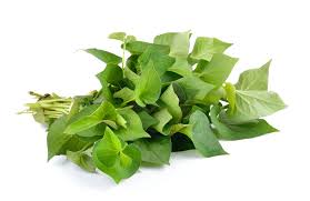 Cây diếp cá tươi chứa hàm lượng tinh dầu và kháng sinh tự nhiên dồi dào (Nguồn: Sưu tầm)